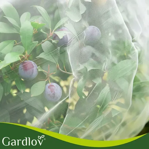 Защитна мрежа за леха 3x6 м Gardlov