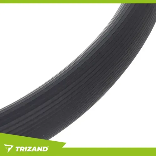 Упражнителен обръч Triznad 26848