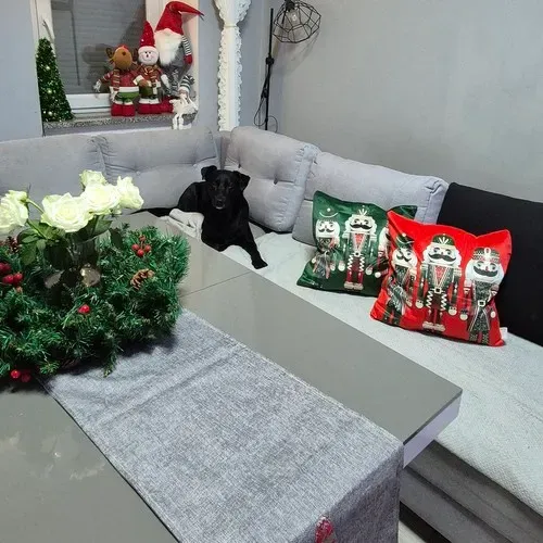 Декоративна калъфка 40x40 см Ruhhy 24729