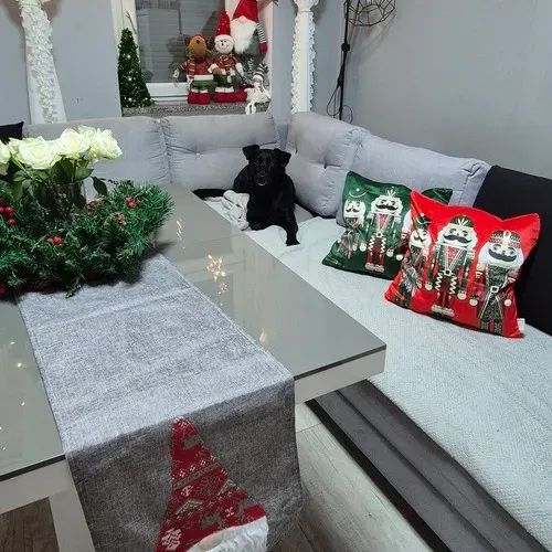 Декоративна калъфка 40x40 см Ruhhy 24728