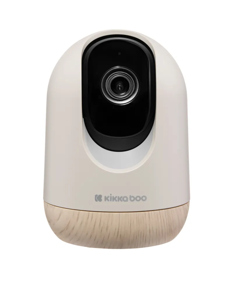 Камера Wi-Fi Bluetooth Ethan 2026