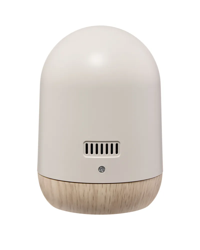 Камера Wi-Fi Bluetooth Ethan 2026