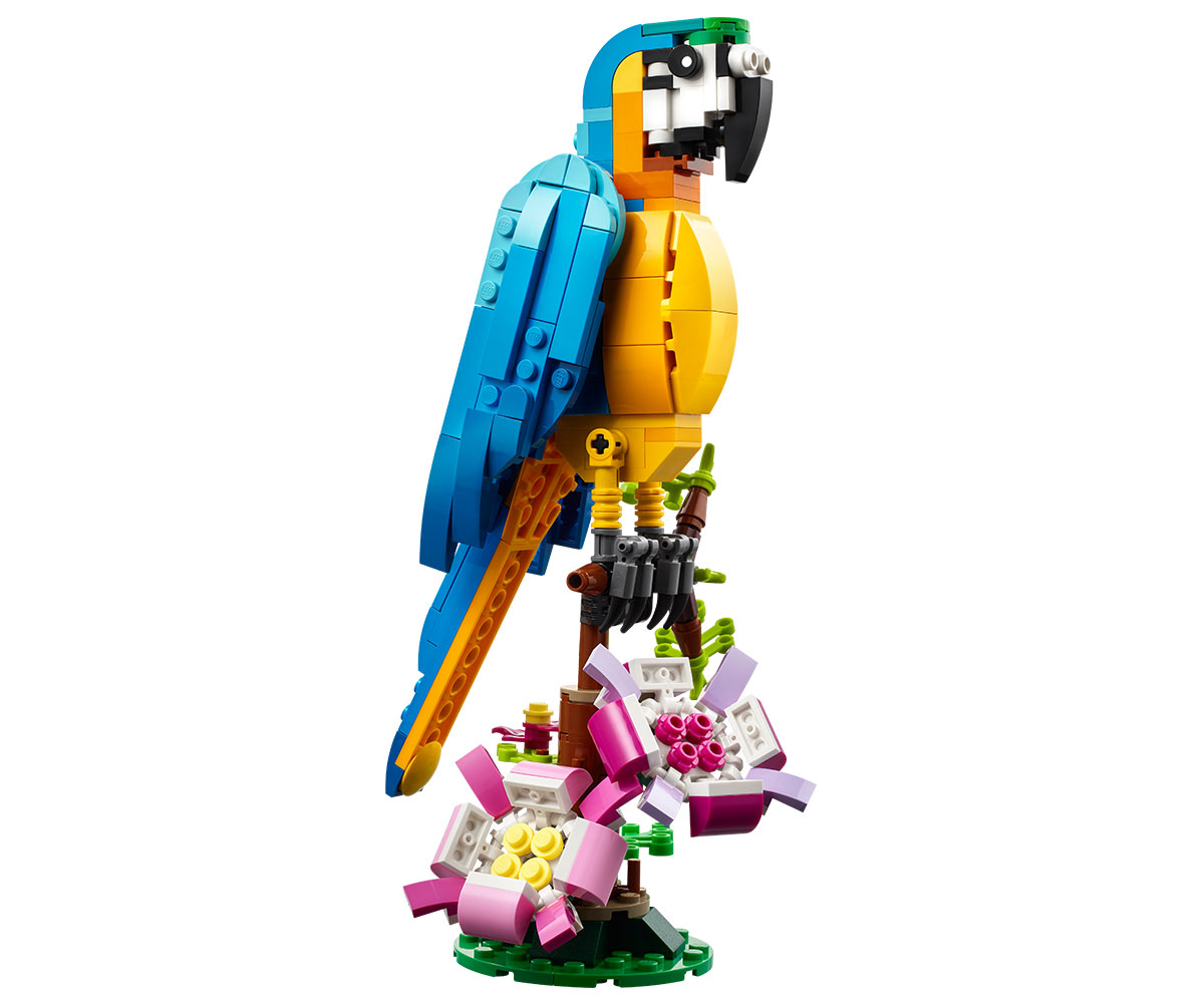 Конструктор LEGO Creator 31136 Екзотичен папагал 3 в 1