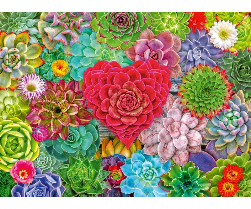 Пъзел Ravensburger 12001469 Сукуленти, 500 части
